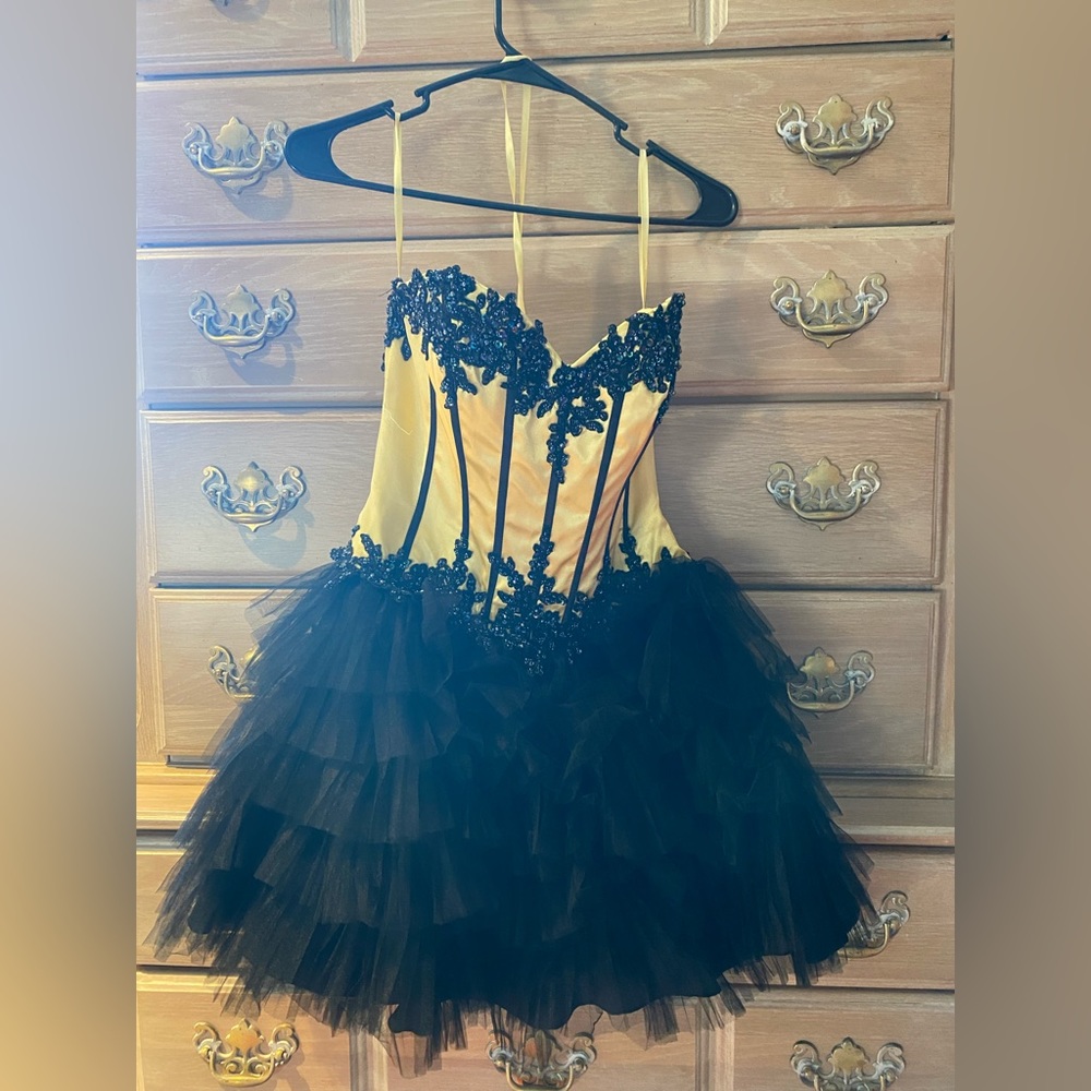 Carisse Beaded sequin corset style dress